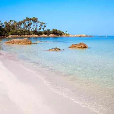 公寓 T2 Route Des Sanguinaires Vue Panoramique *