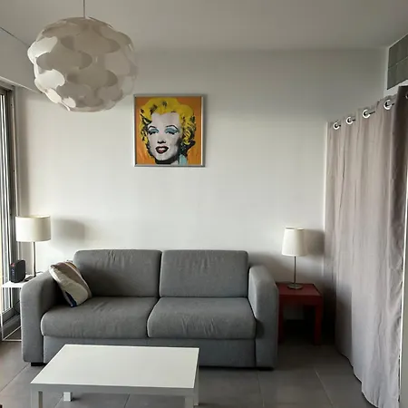 Grand Route Des Sanguinaires Vue Panoramique Ajaccio (Corsica)