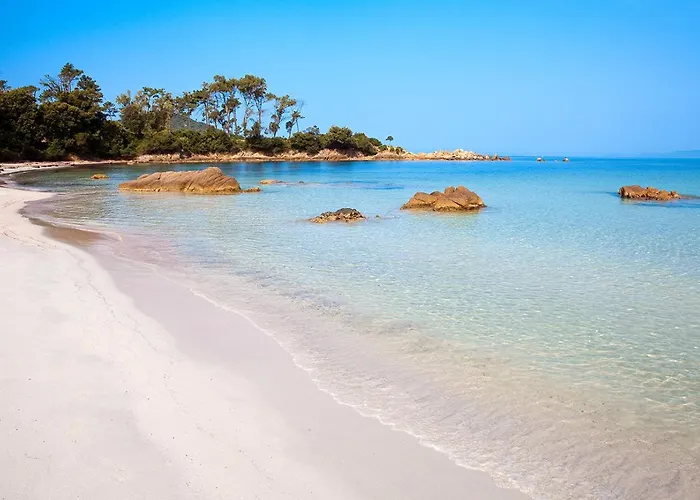 公寓 T2 Route Des Sanguinaires Vue Panoramique *